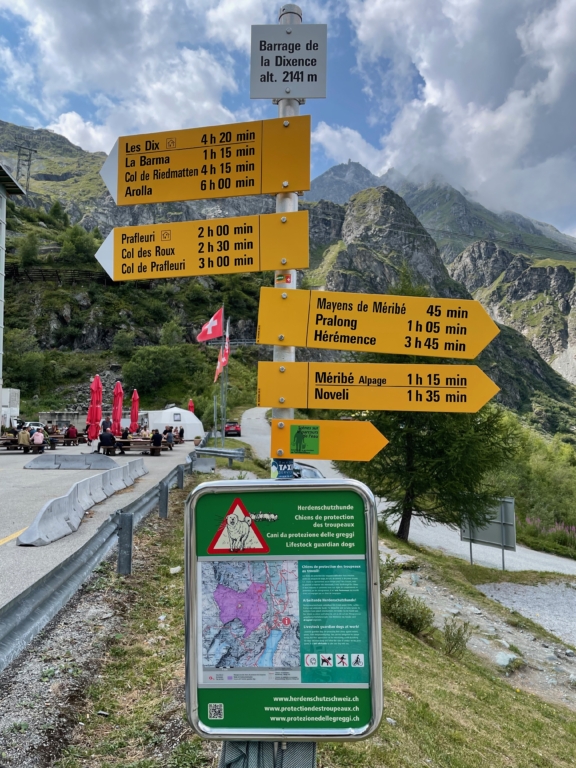 Herdenschutz Gde Dixence 2